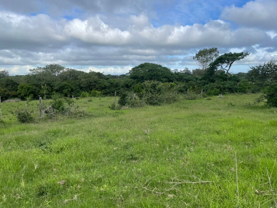 3 Bedroom Property for Sale in Bathurst Eastern Cape